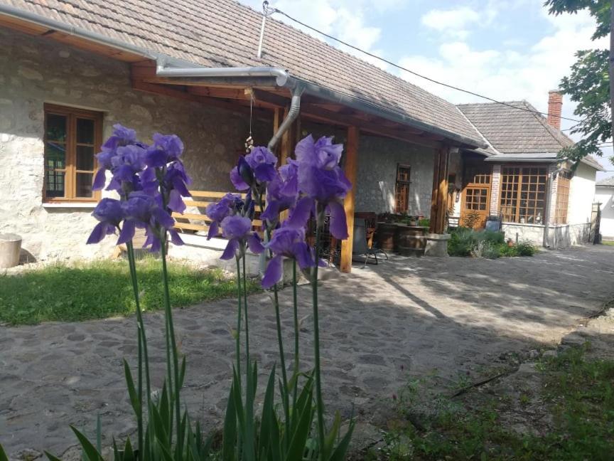Karádi-Berger Vendégház Erdőbénye Exterior foto