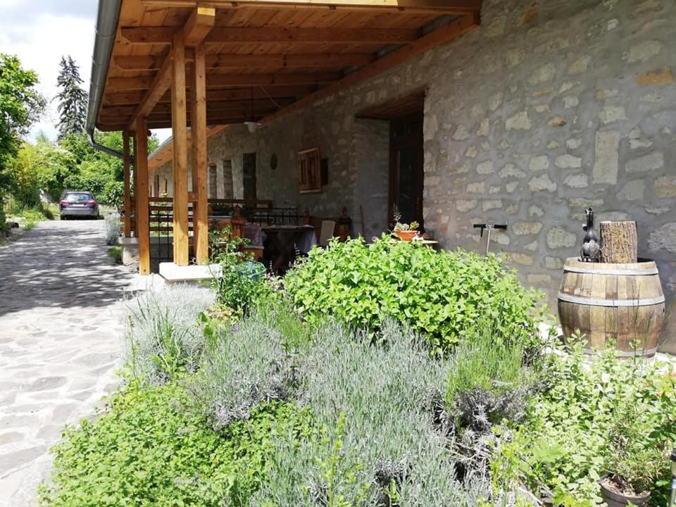 Karádi-Berger Vendégház Erdőbénye Exterior foto