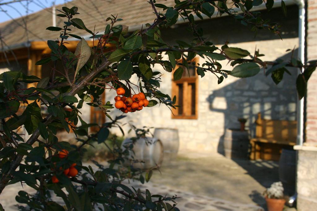 Karádi-Berger Vendégház Erdőbénye Zimmer foto